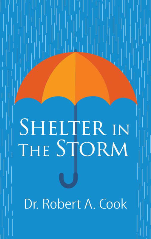 ShelterintheStorm506x800(1)